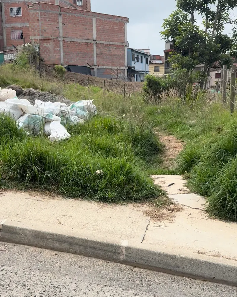 Enero de 2025: Así estaba el lote